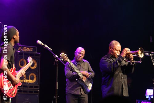 hugh masekela (11)