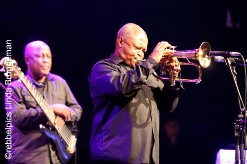 hugh masekela (12)