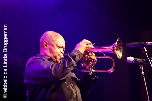 hugh masekela (3)