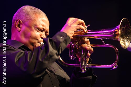 hugh masekela (7)