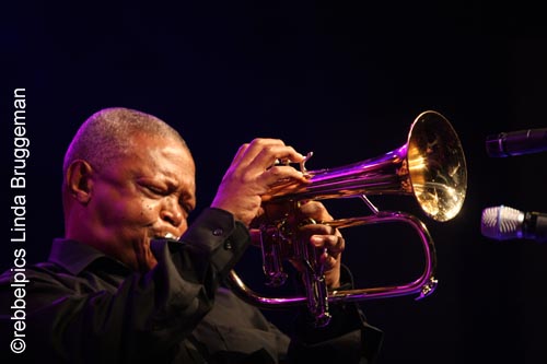 hugh masekela (8)